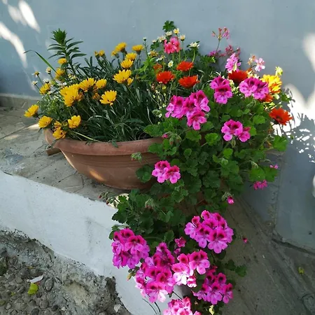 An Tale, An Dream, Garden House Istanbul