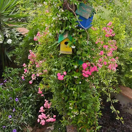 Villa An Tale, An Dream, Garden House