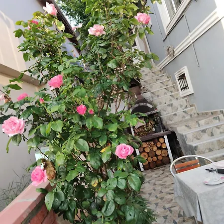 An Tale, An Dream, Garden House *