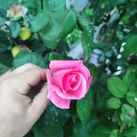 Villa An Tale, An Dream, Garden House *