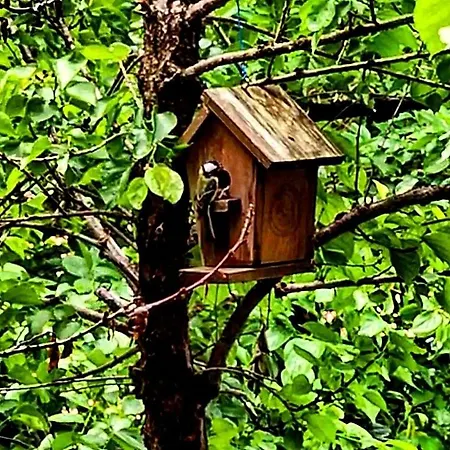 An Tale, An Dream, Garden House Villa *