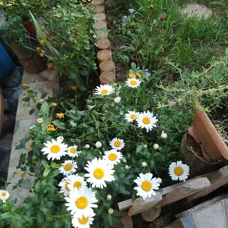 Villa An Tale, An Dream, Garden House *