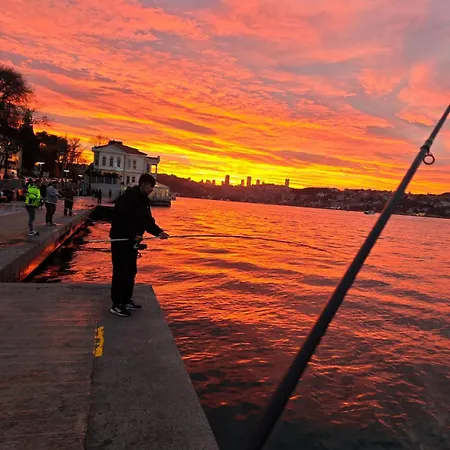 An Tale, An Dream, Garden House *