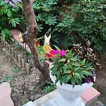 An Tale, An Dream, Garden House * Istanbul