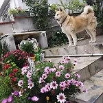Villa An Tale, An Dream, Garden House