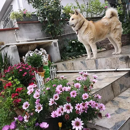 Βίλα An Tale, An Dream, Garden House