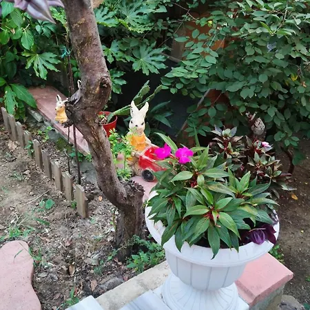 An Tale, An Dream, Garden House * イスタンブール