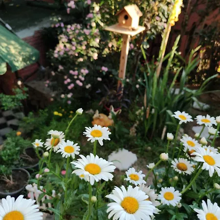 An Tale, An Dream, Garden House ヴィラ *