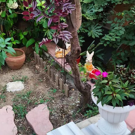 An Tale, An Dream, Garden House Villa Istanboel